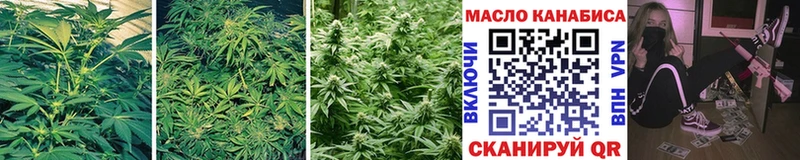 хочу   Починок  Дистиллят ТГК THC oil 