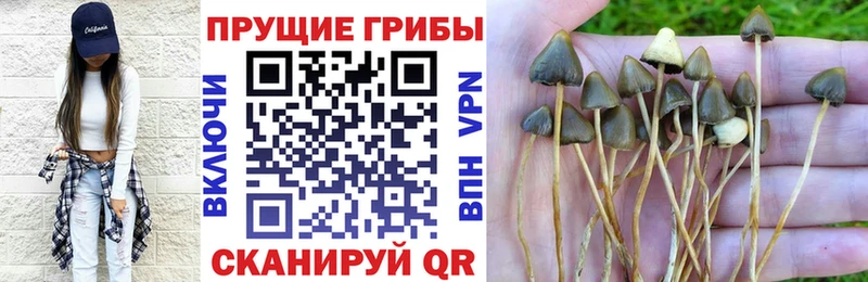 shop формула  Починок  Галлюциногенные грибы MAGIC MUSHROOMS 
